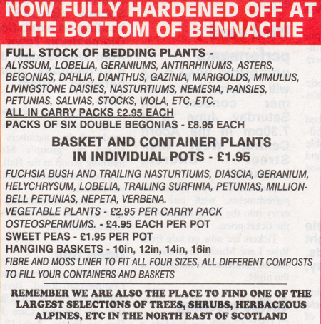 BEDDING PLANTS - NOW IN STOCK