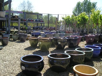 Pots at Kirkdale Nursery